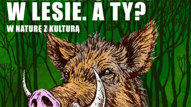 Siemianowice Śląskie sprzątają świat – ekologiczny wrzesień w mieście