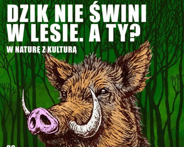 Siemianowice Śląskie sprzątają świat – ekologiczny wrzesień w mieście