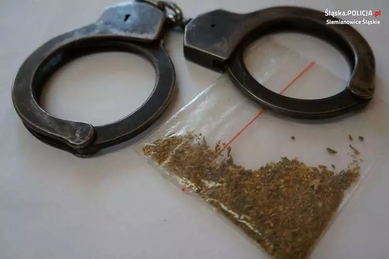 23-latek zatrzymany z amfetaminą. Zaczęło się od wyrzuconego niedopałka papierosa