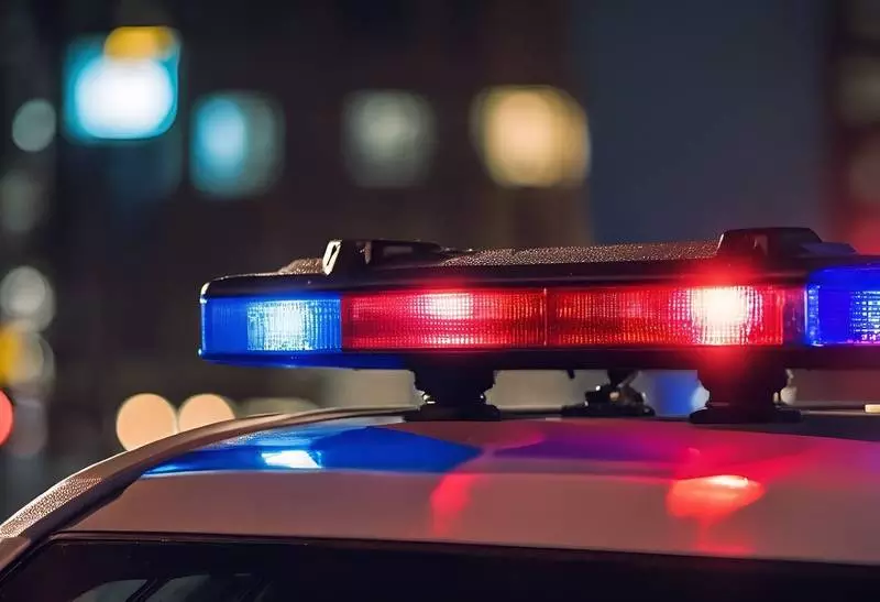 23-letni syn ugodził matkę nożem i zaatakował ojca