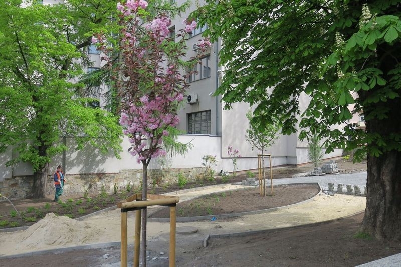 Ogrody Deszczowe GZM – zgłoś swoją placówkę do 13 maja