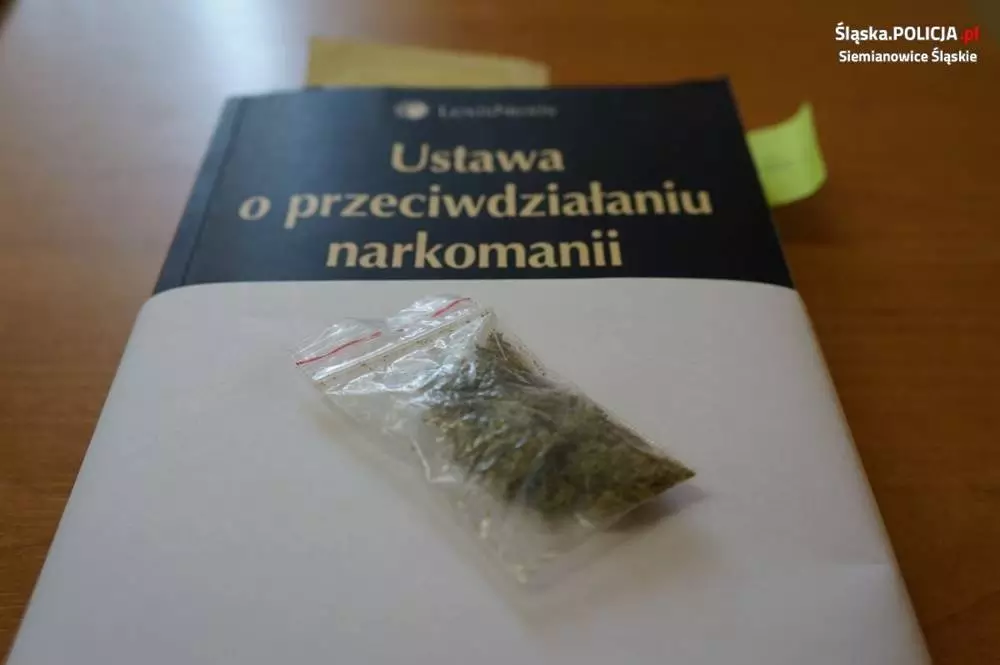 Poszukiwany przechadzał się z narkotykami / fot. KMP Siemianowice Śl.