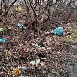 Wysypiskowa "walka z wiatrakami" w Siemianowicach &#346;l&#261;skich. Nielegalne wysypiska &#347;mieci
