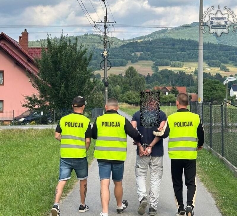 Zatrzymania poszukiwanych – kryminalni z Siemianowic Śląskich rozbili ukrytą siatkę